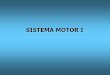 SISTEMA MOTOR I - fisio2.icb.usp.br:4882