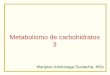 Metabolismo de carbohidratos 3 - Blog 4to Semestre 2-2010