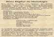 Atlas Digital de Histologia - Moodle USP: e-Disciplinas