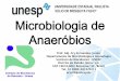 Microbiologia de Anaeróbios - Unesp