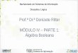 Prof.ª Dr.ª Donizete Ritter MÓDULO IV PARTE 1: Álgebra 