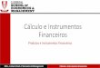 Cálculo e Instrumentos Financeiros