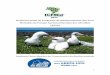 Relatório anual do Programa de Monitoramento das Aves 