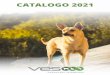 CATALOGO 2021 - VES
