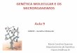 GENÉTICA MOLECULAR E OS MICRORGANISMOS Aula 9
