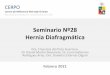 SeminarioNº28 Hernia Diafragmática