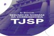 E-BOOK RESUMO DE NORMAS DA CORREGEDORIA TJ SP