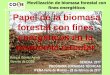 Papel de la biomasa forestal con fines energéticos en la 