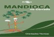 Mandioca no Cerrado: orientações técnicas